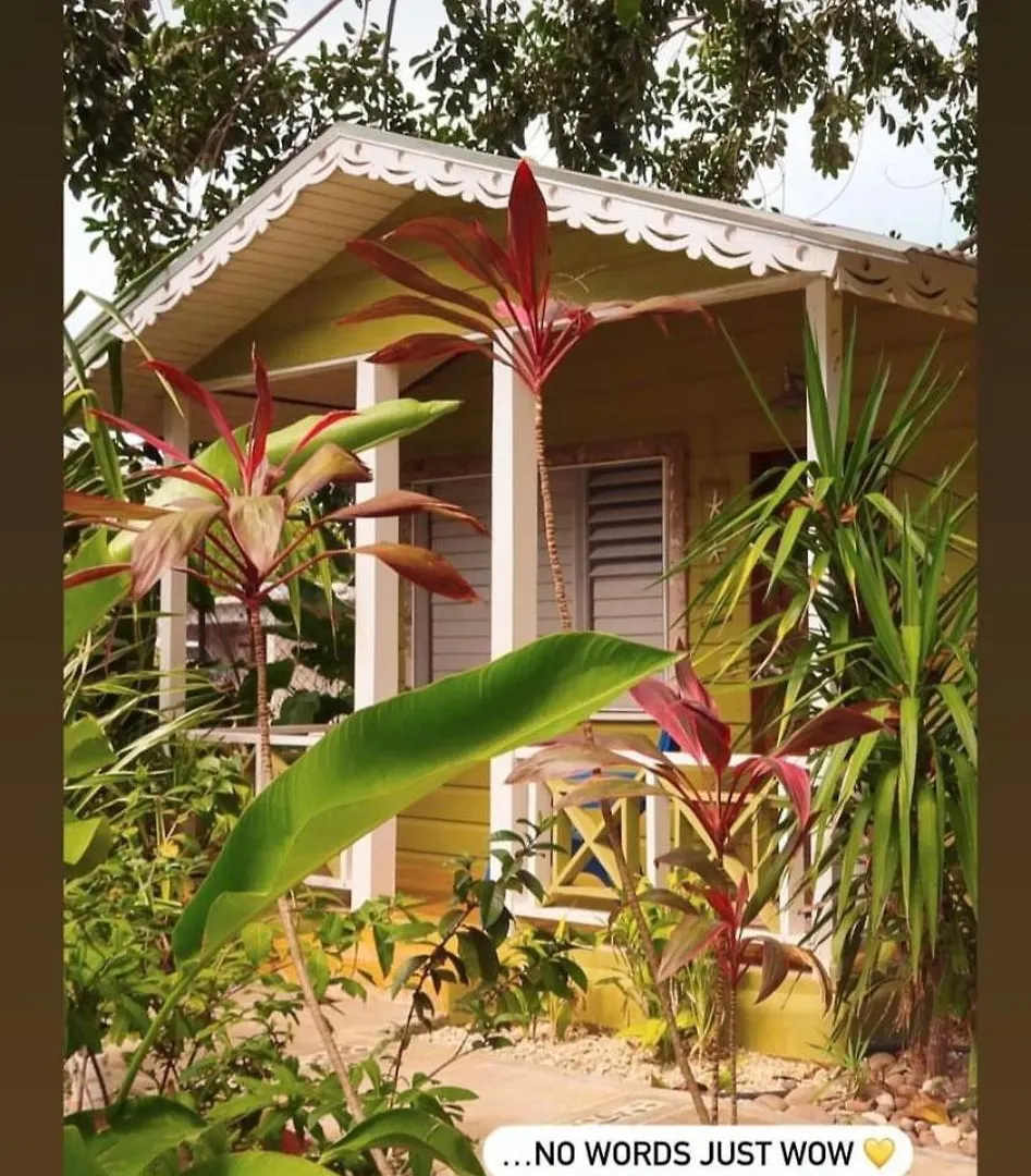 Lodge Villa Bak A Yaad Negril
